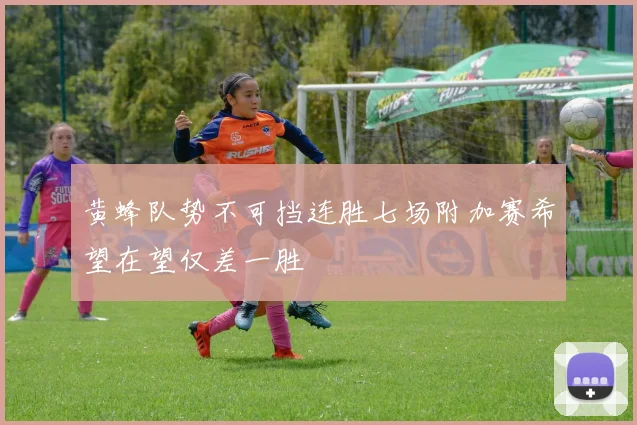 黄蜂队势不可挡连胜七场附加赛希望在望仅差一胜