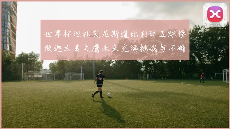 世界杯巡礼突尼斯遭比利时五球惨败迦太基之鹰未来充满挑战与不确定性