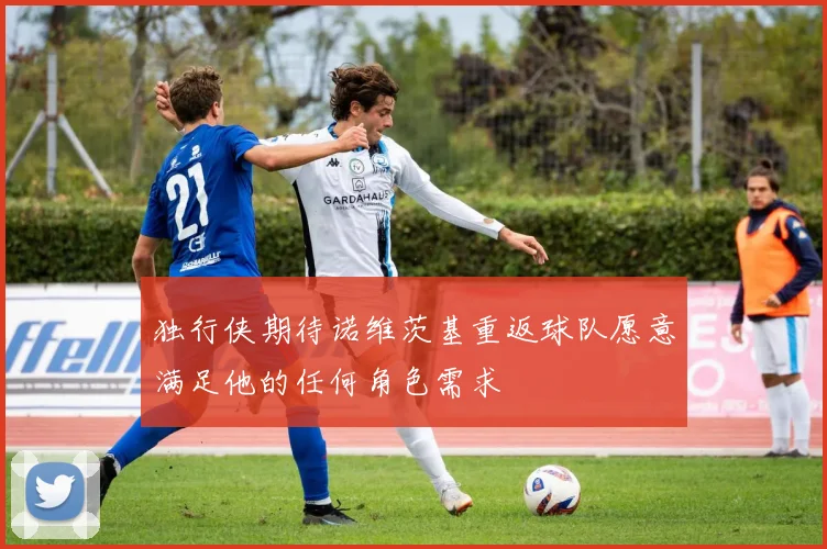 独行侠期待诺维茨基重返球队愿意满足他的任何角色需求